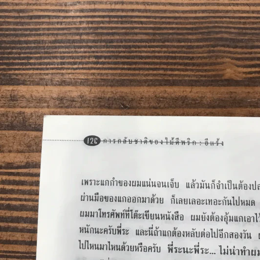 การกลับชาติของไม้ตีพริก - อีแร้ง รูปที่ 13