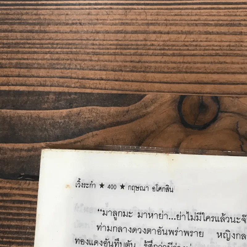 เวิ้งระกำ - กฤษณา อโศกสิน รูปที่ 13