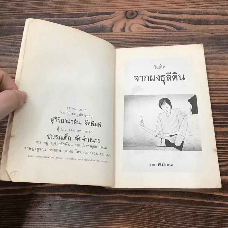 จากผาธุลีดิน - โบตั๋น รูปที่ 7