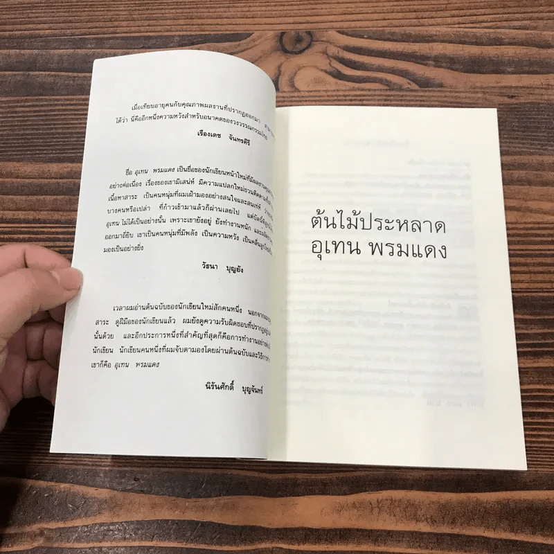 ต้นไม้ประหลาด - อุเทน พรมแดง รูปที่ 7