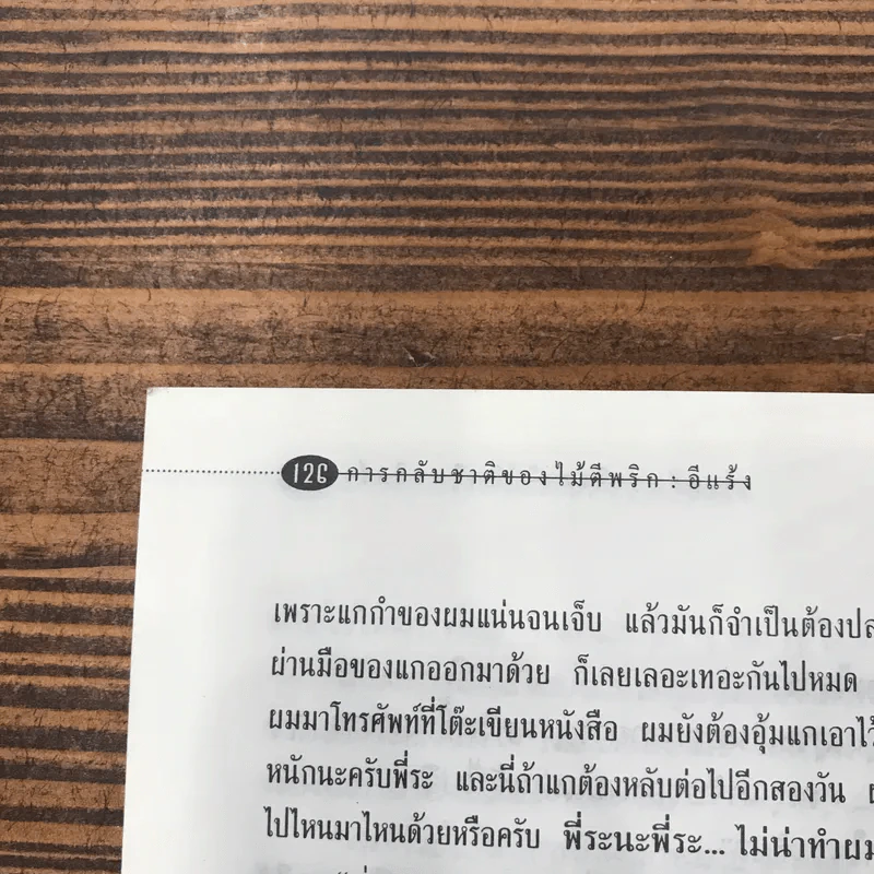 การกลับชาติของไม้ตีพริก - อีแร้ง รูปที่ 13