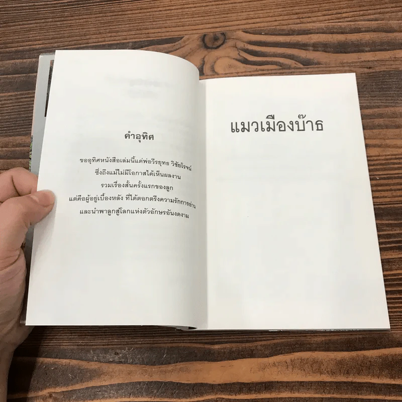 แมวเมืองบ๊าธ - สุปาจรีย์ รูปที่ 9