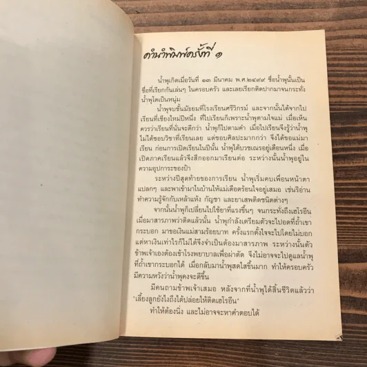 เรื่องของน้ำพุ - วงศ์เมือง นันทขว้าง รูปที่ 8