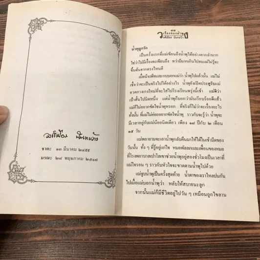 เรื่องของน้ำพุ - วงศ์เมือง นันทขว้าง รูปที่ 11