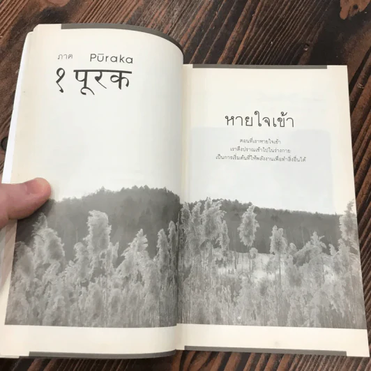 ผู้ชายที่เคยหายใจไม่เป็น  Yogi Boy - ลุค แคสซาดี-ดอเรียน รูปที่ 12
