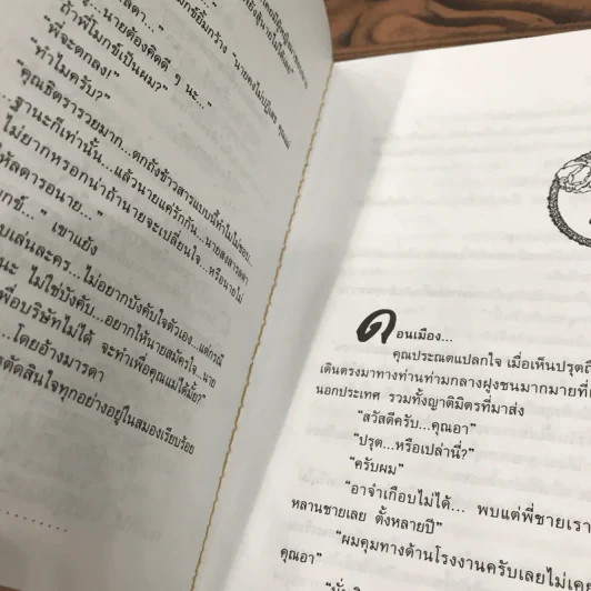 เพลิงพธู - โสภี พรรณราย รูปที่ 9