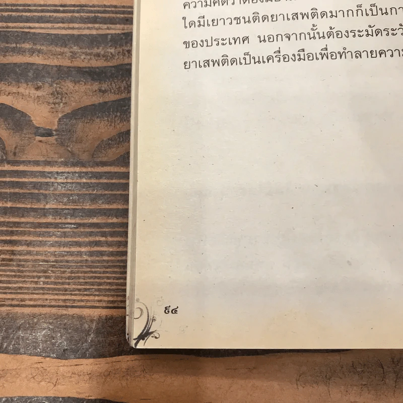 เรื่องของน้ำพุ - วงศ์เมือง นันทขว้าง รูปที่ 11