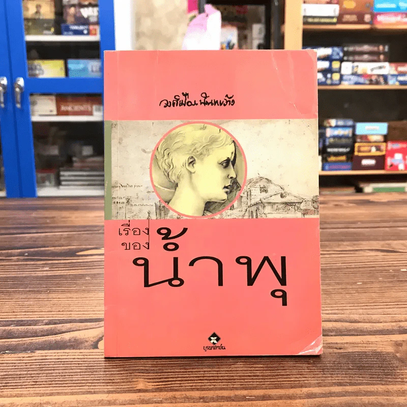 เรื่องของน้ำพุ - วงศ์เมือง นันทขว้าง รูปที่ 1