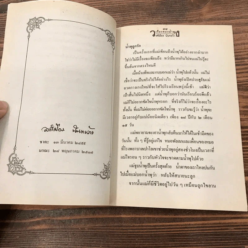 เรื่องของน้ำพุ - วงศ์เมือง นันทขว้าง รูปที่ 11