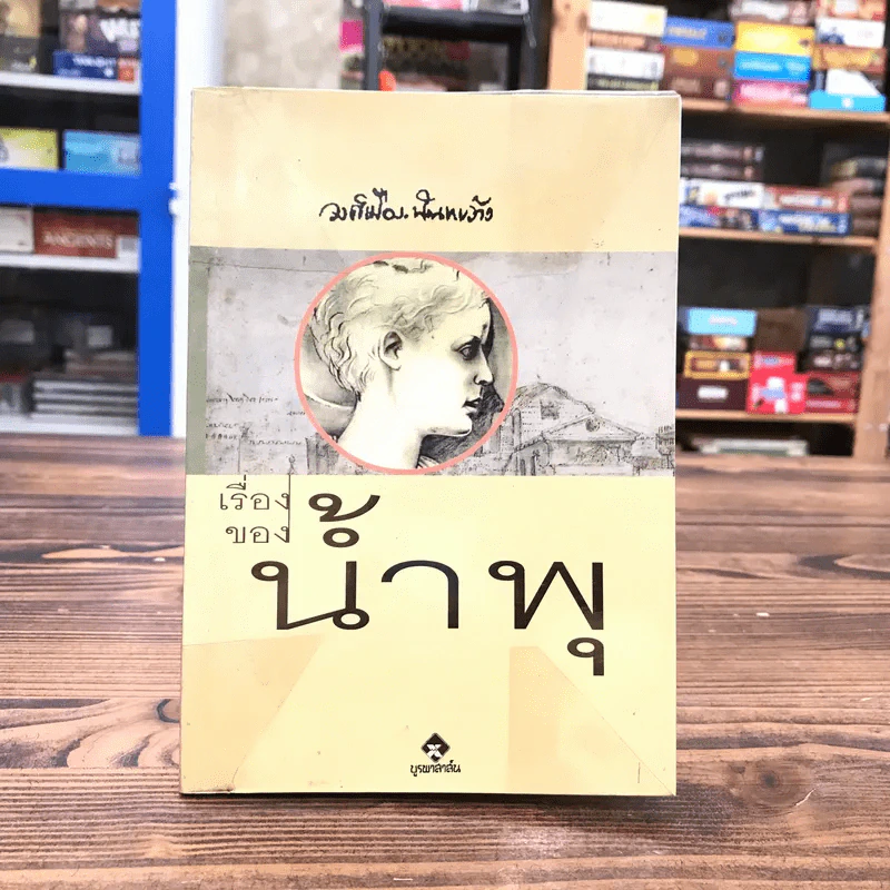 เรื่องของน้ำพุ - วงศ์เมือง นันทขว้าง รูปที่ 1