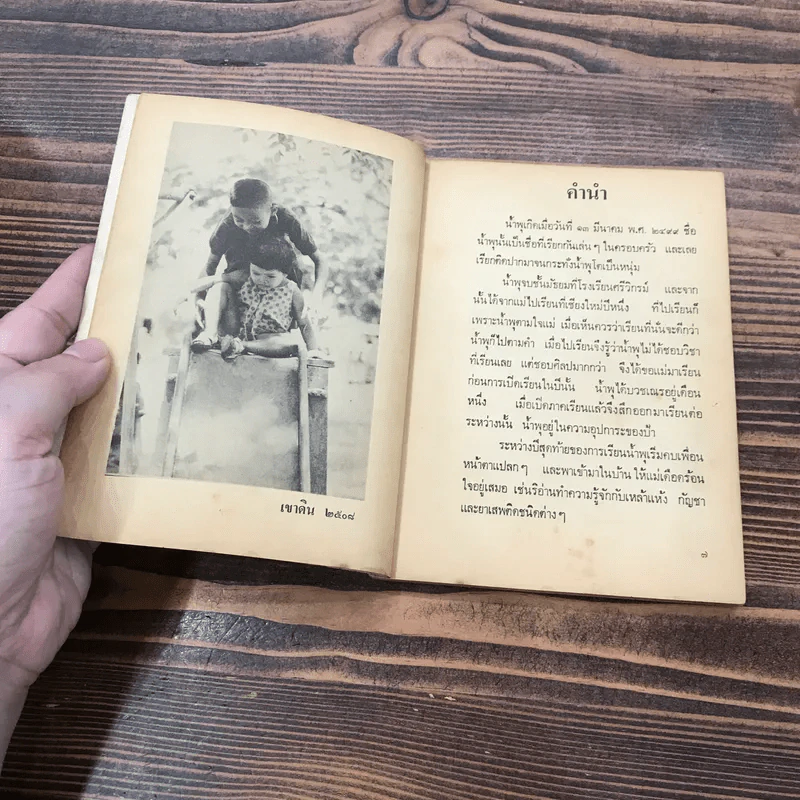 เรื่องของน้ำพุ - วงศ์เมือง นันทขว้าง รูปที่ 9