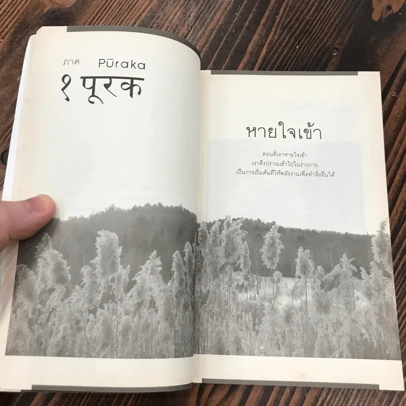 ผู้ชายที่เคยหายใจไม่เป็น  Yogi Boy - ลุค แคสซาดี-ดอเรียน รูปที่ 12