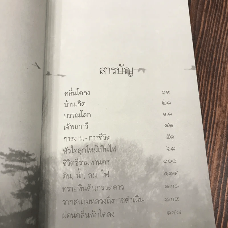 เจ้านกกวี - ไพวรินทร์ ขาวงาม รูปที่ 11