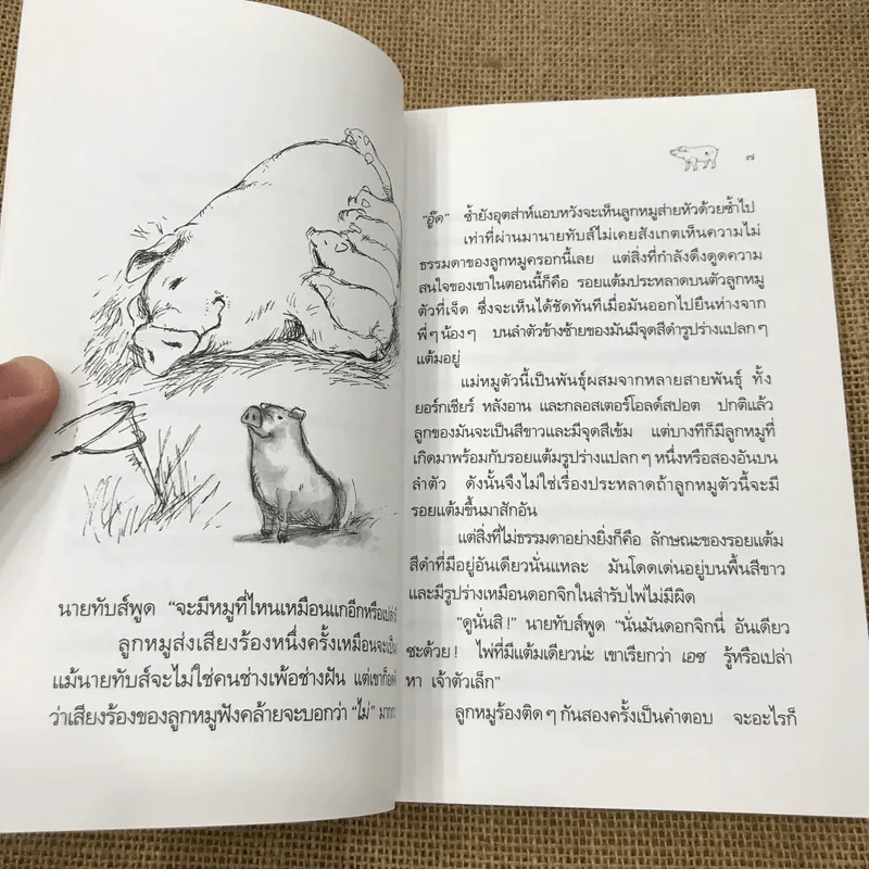เอซ ยอดหมูอัจฉริยะ รูปที่ 9
