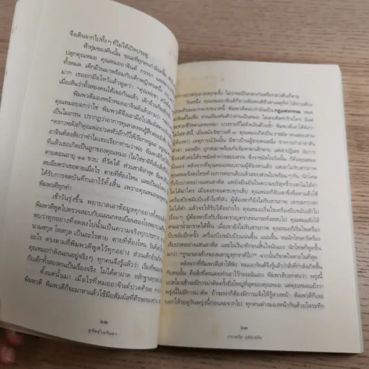 ดูจิตชั่วพริบตา - ปัญญาวโรภิกขุ (ประเสริฐ อุทัยเฉลิม) รูปที่ 13