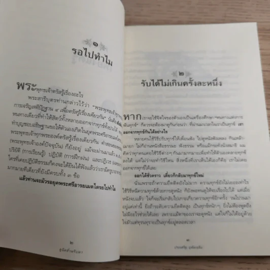 ดูจิตชั่วพริบตา - ปัญญาวโรภิกขุ (ประเสริฐ อุทัยเฉลิม) รูปที่ 12