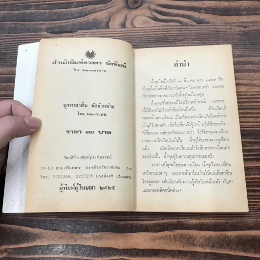 เรื่องของน้ำพุ - วงศ์เมือง นันทขว้าง รูปที่ 7