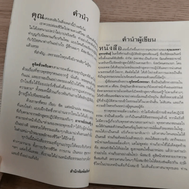 ดูจิตชั่วพริบตา - ปัญญาวโรภิกขุ (ประเสริฐ อุทัยเฉลิม) รูปที่ 10