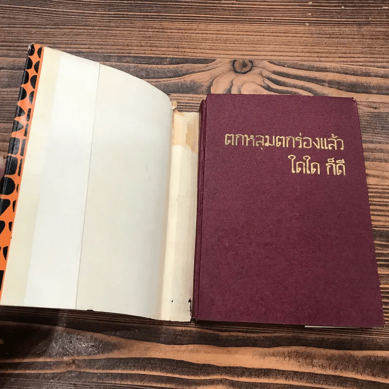 ตกหลุมตกร่องแล้ว ใดใด ก็ดี เล่ม 2 - บุญเหลือ รูปที่ 6