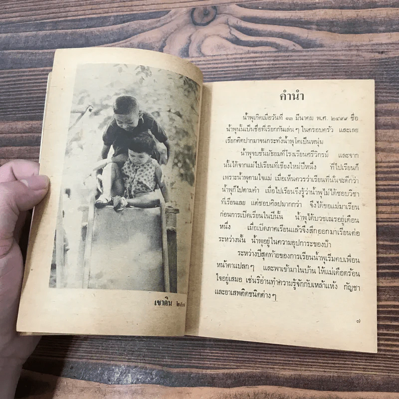 เรื่องของน้ำพุ - วงศ์เมือง นันทขว้าง รูปที่ 9