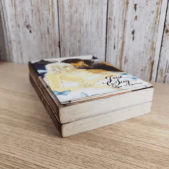 Corsair เพลิงรักโจรสลัด 2 เล่มจบ Boxset - Minami Touko รูปที่ 9