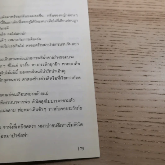 Charming Love Call of The King + Lover’s Fate - Kaoru Iwamoto รูปที่ 11