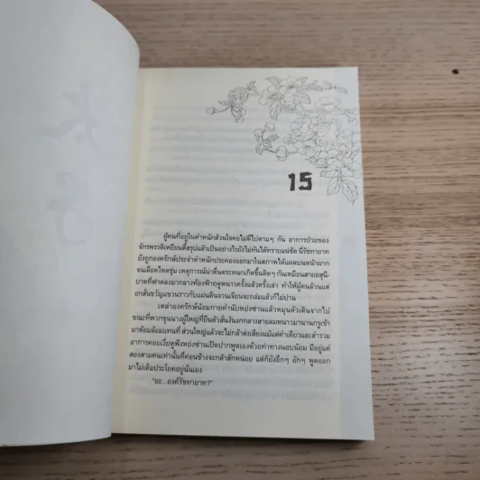 Box Set รัชทายาท 5 เล่มจบ - เฟิงน่ง รูปที่ 22
