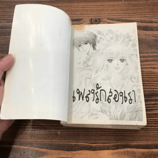 เพลงรักสองเรา รูปที่ 6