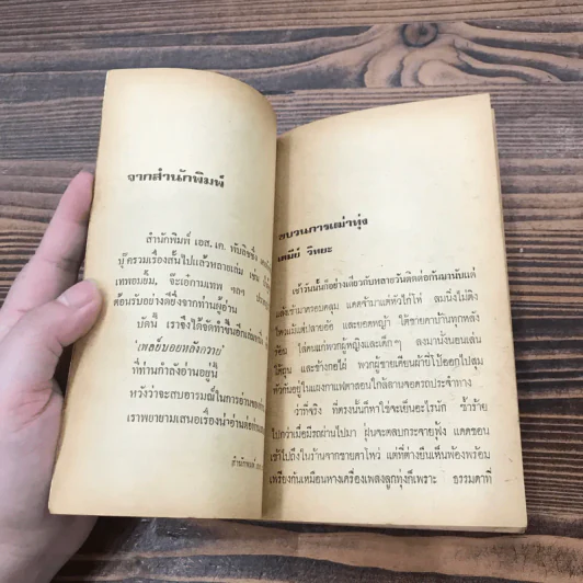 เพลย์บอยหลังควาย รวมเรื่องสั้นหลายนักเขียน รูปที่ 8