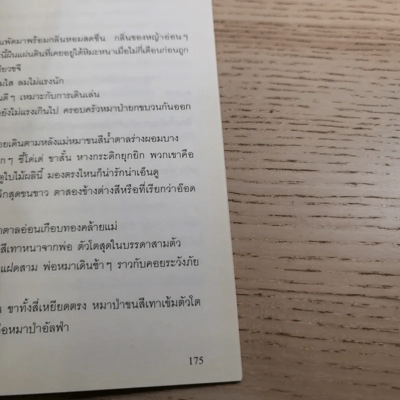 Charming Love Call of The King + Lover’s Fate - Kaoru Iwamoto รูปที่ 11