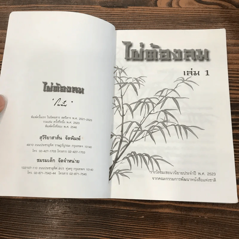 ไผ่ต้องลม เล่ม 1 - โบตั๋น รูปที่ 6
