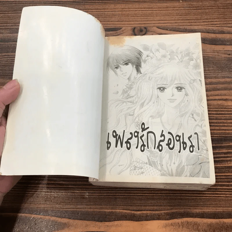 เพลงรักสองเรา รูปที่ 6