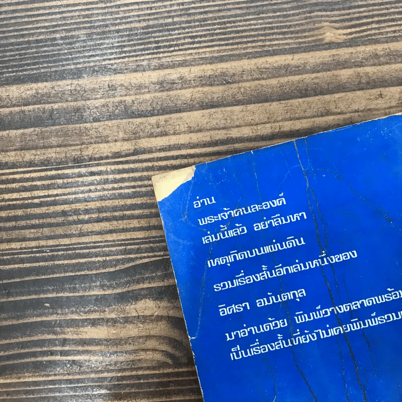 พระเจ้าคนละองค์ - อิศรา อมันตกุล รูปที่ 13