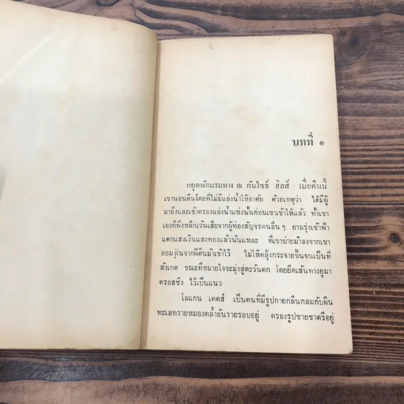 แหล่งน้ำมหาโหด Last Stand at Papago Wells - หลุยส์ ลามูร์ รูปที่ 9