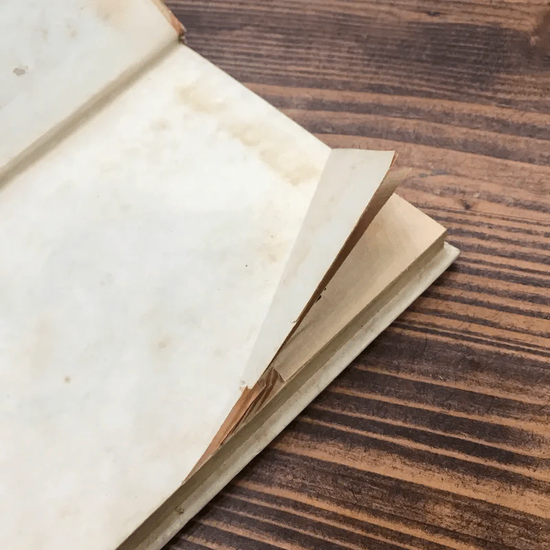 เลือดรักชาติ หนังสือแปลชุด เสรีภาพ เล่มที่ 25 - ชิดนีย์ คิงส์ลีย์, บรรลือ ถิ่นพังงา รูปที่ 7