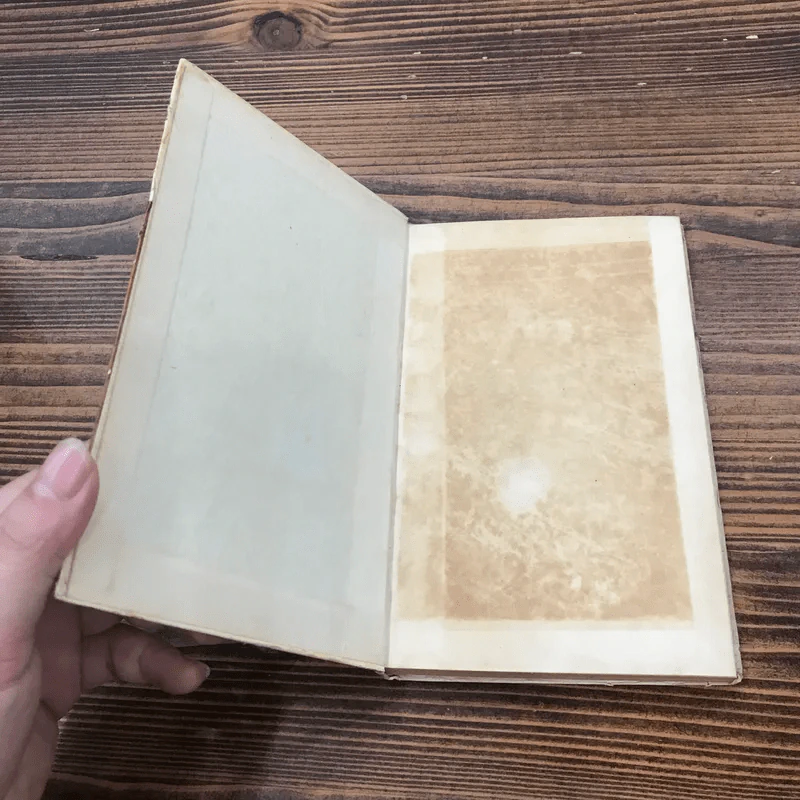 โธมัส อัลวา เอดิสัน หนังสือแปลชุดเสรีภาพ เล่มที่ 10 - มาร์กาเร็ต คัสซินส์ รูปที่ 6