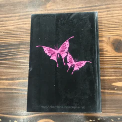 Bonnie Butterfly - Bambino รูปที่ 12