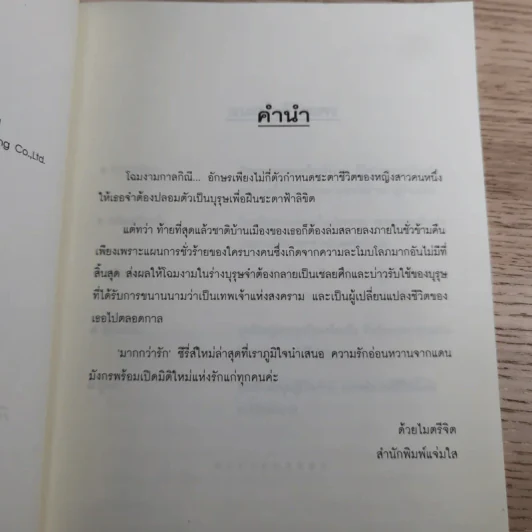 พิชิตใจองค์หญิงจำแลง - หนีหนาน รูปที่ 8