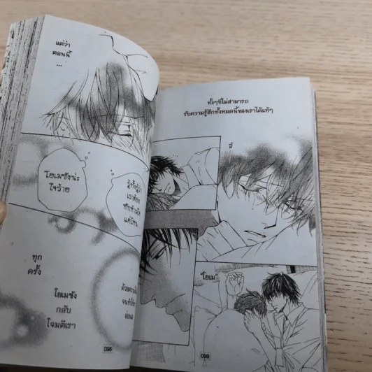 หุบเขาแห่งรัก เล่ม 1-2 - Yuki Shimizu รูปที่ 16