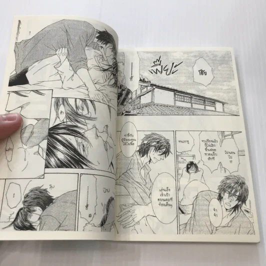 หุบเขาแห่งรัก เล่ม 3 - Yuki Shimizu รูปที่ 12