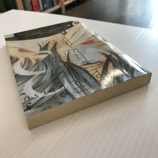 หุบเขาแห่งรัก เล่ม 3 - Yuki Shimizu รูปที่ 3