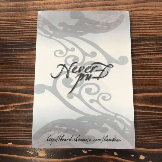 Never Again - Bambino รูปที่ 12