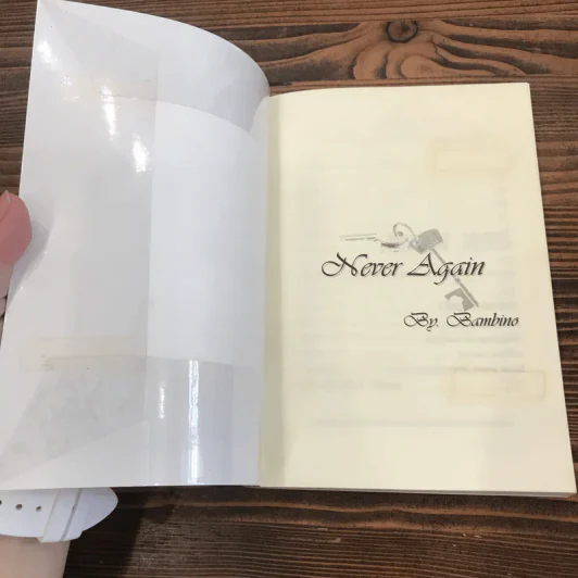 Never Again - Bambino รูปที่ 6