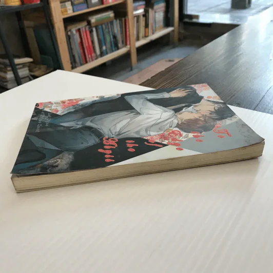 To The Edge Of The Abyss - Miyao Aoi รูปที่ 4