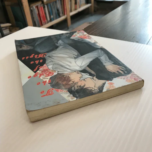 To The Edge Of The Abyss - Miyao Aoi รูปที่ 3