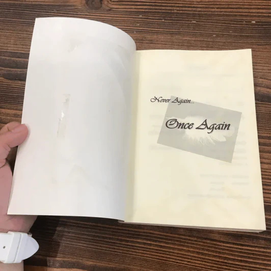 Never Again Once Again - Bambino รูปที่ 6