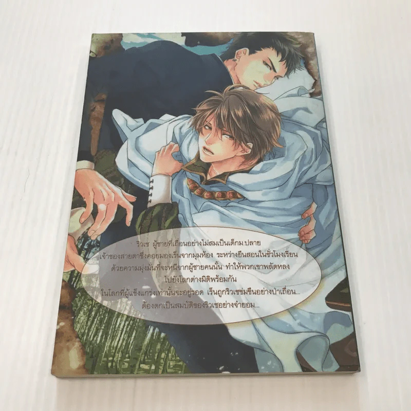 Daybreak After A Dark Night - Miyao Aoi รูปที่ 6