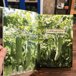 คู่มือคนปลูกต้นไม้ ปลูกผักไทย ได้ทั้งอาหารและยา - รศ.ดร.วีณา เชิดบุญชาติ รูปที่ 14