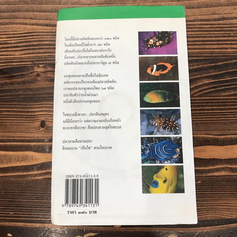 ปลาทะเลไทย - ธรณ์ ธำรงนาวาสวัสดิ์ และท่านอื่นๆ รูปที่ 16