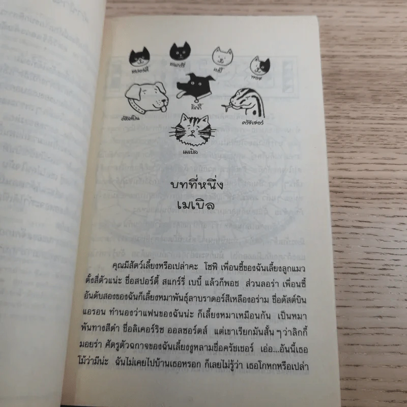 รวมวรรณกรรมเยาวชนแปล Jacqueline Wilson 9 เล่ม รูปที่ 62